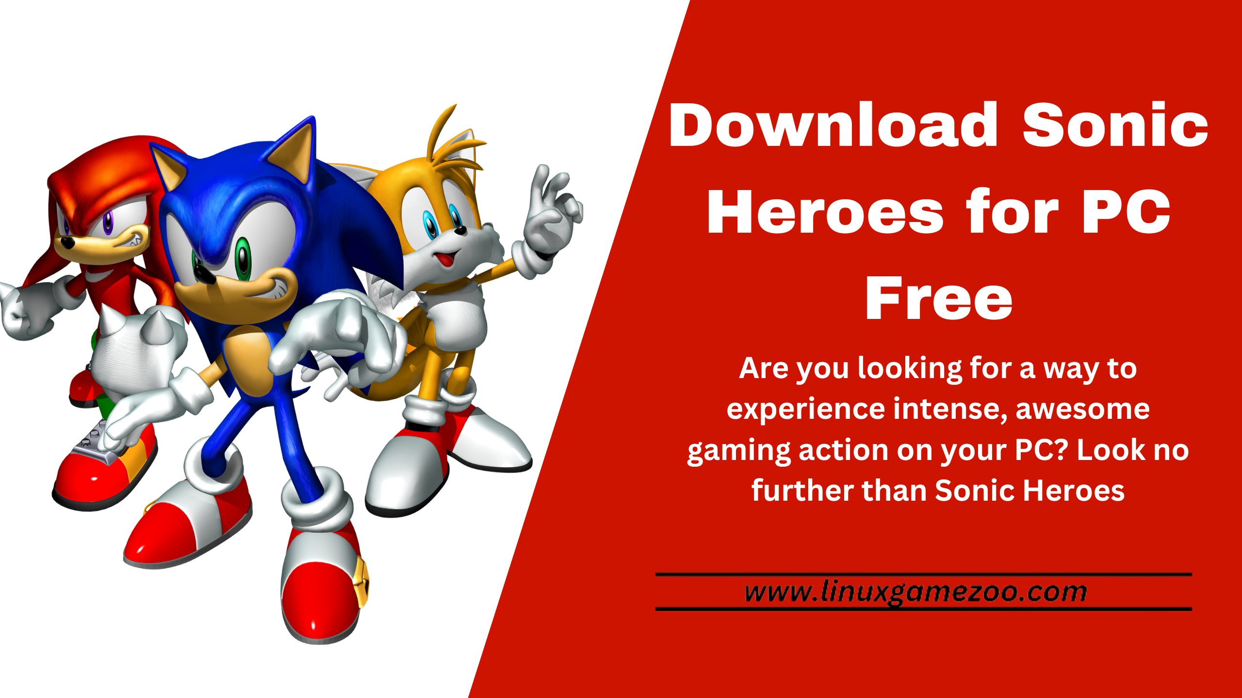 Download Sonic Heroes for PC Free